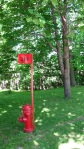 Fire Hydrant in Corner Brook